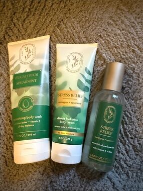 Bath & Body Works Stress Relief Eucalyptus + Spearmint Green Bath & Body Set